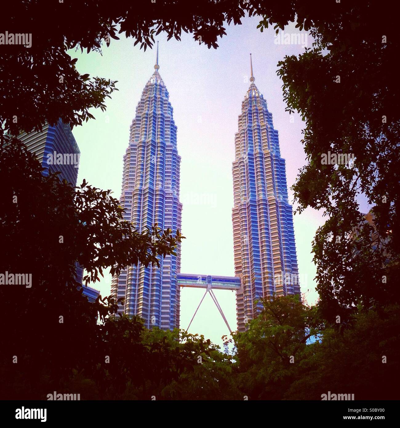 Kuala Lampur KLCC torri attraverso gli alberi Foto Stock