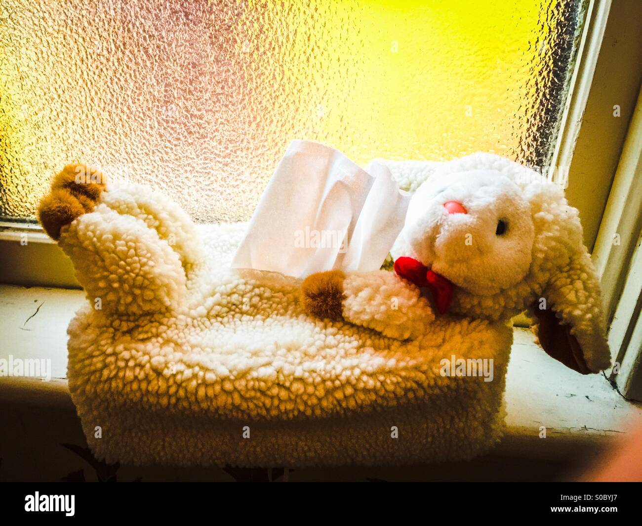 Portarotolo Foto Stock