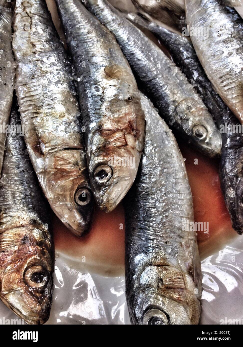 Le sardine salate sulla piastra - Immagine stock catturata con smartphone