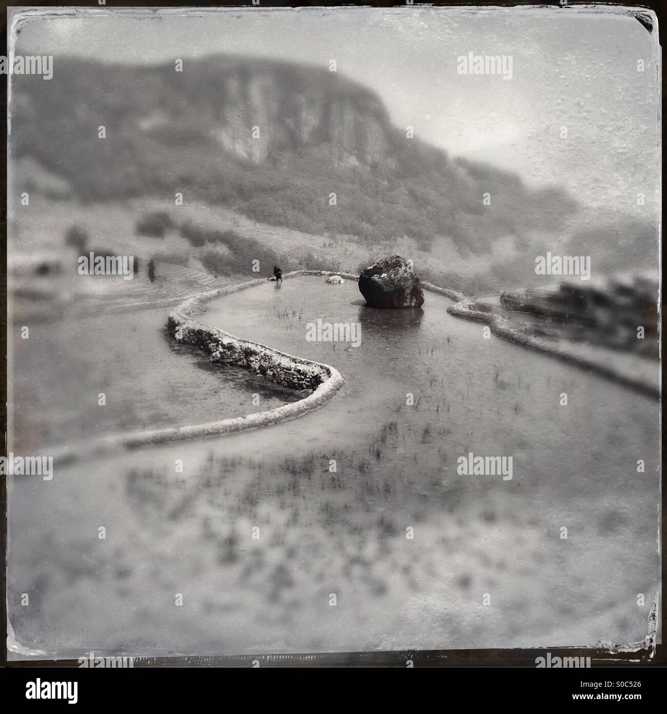 La risaia terrazze riempito con acqua, yuangyang, honghe prefettura, Yunnan, Cina - Immagine stock catturata con smartphone