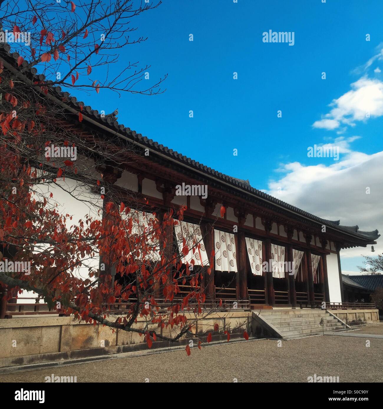 Aula magna con foglie di autunno al Tempio di Horyu-ji o tempio di apprendimento della fioritura di legge, un tempio buddista fondata nel 607 D.C. in Ikaruga, Prefettura di Nara, Giappone. Foto Stock