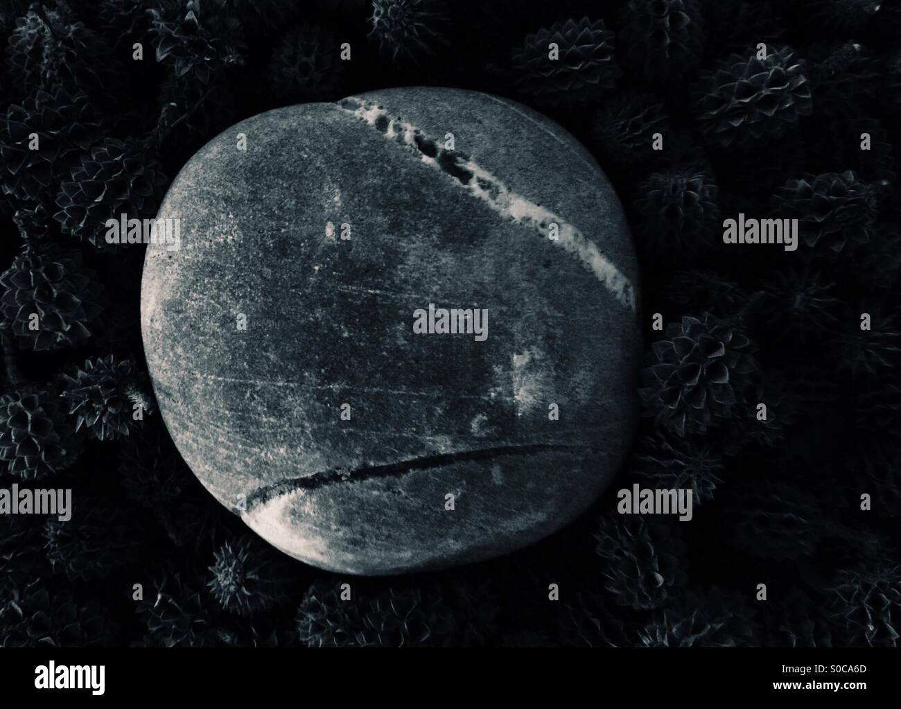 Doppio di cracking. - Immagine stock catturata con smartphone