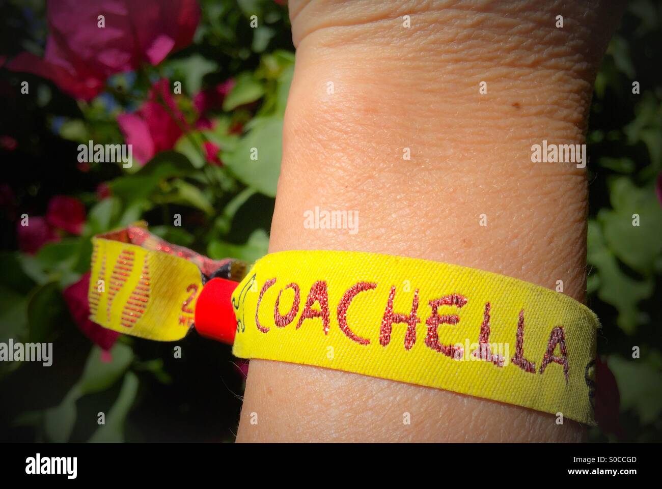 Coachella Music Festival fascia da polso Foto Stock