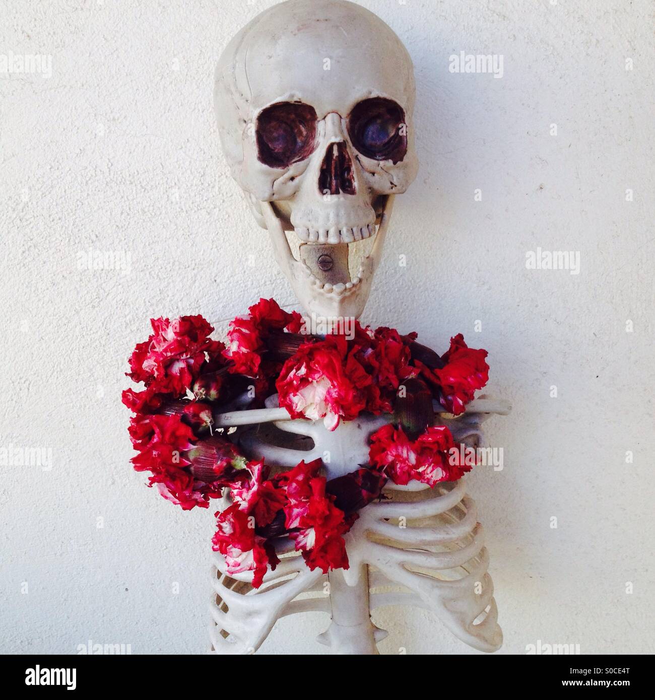 Lo scheletro con collana di fiori Foto Stock
