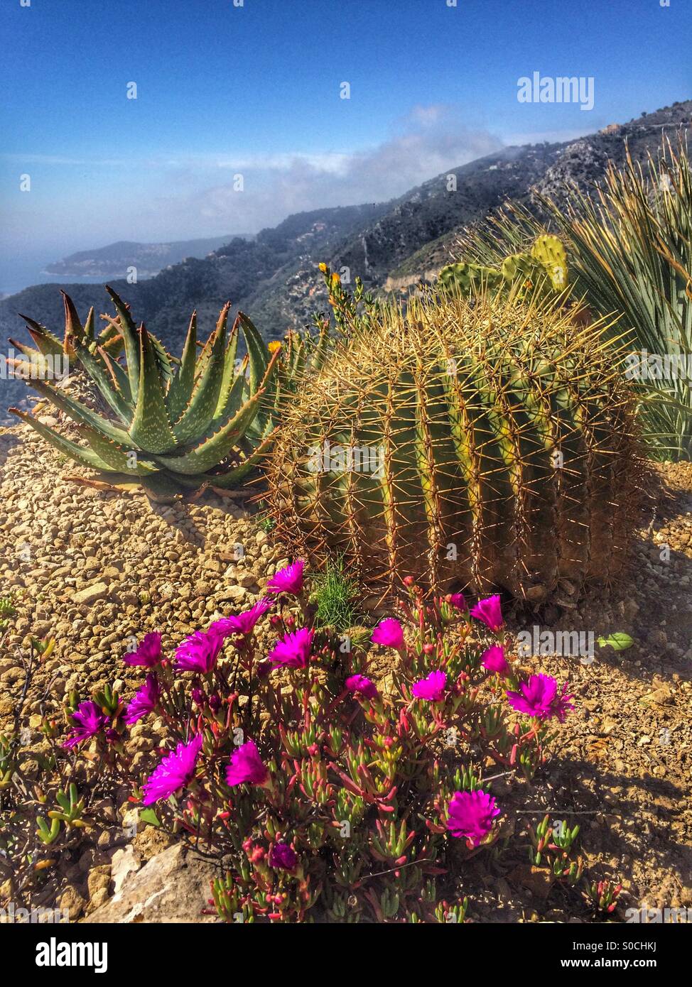 Giardino Esotico - Eze, Francia Foto Stock