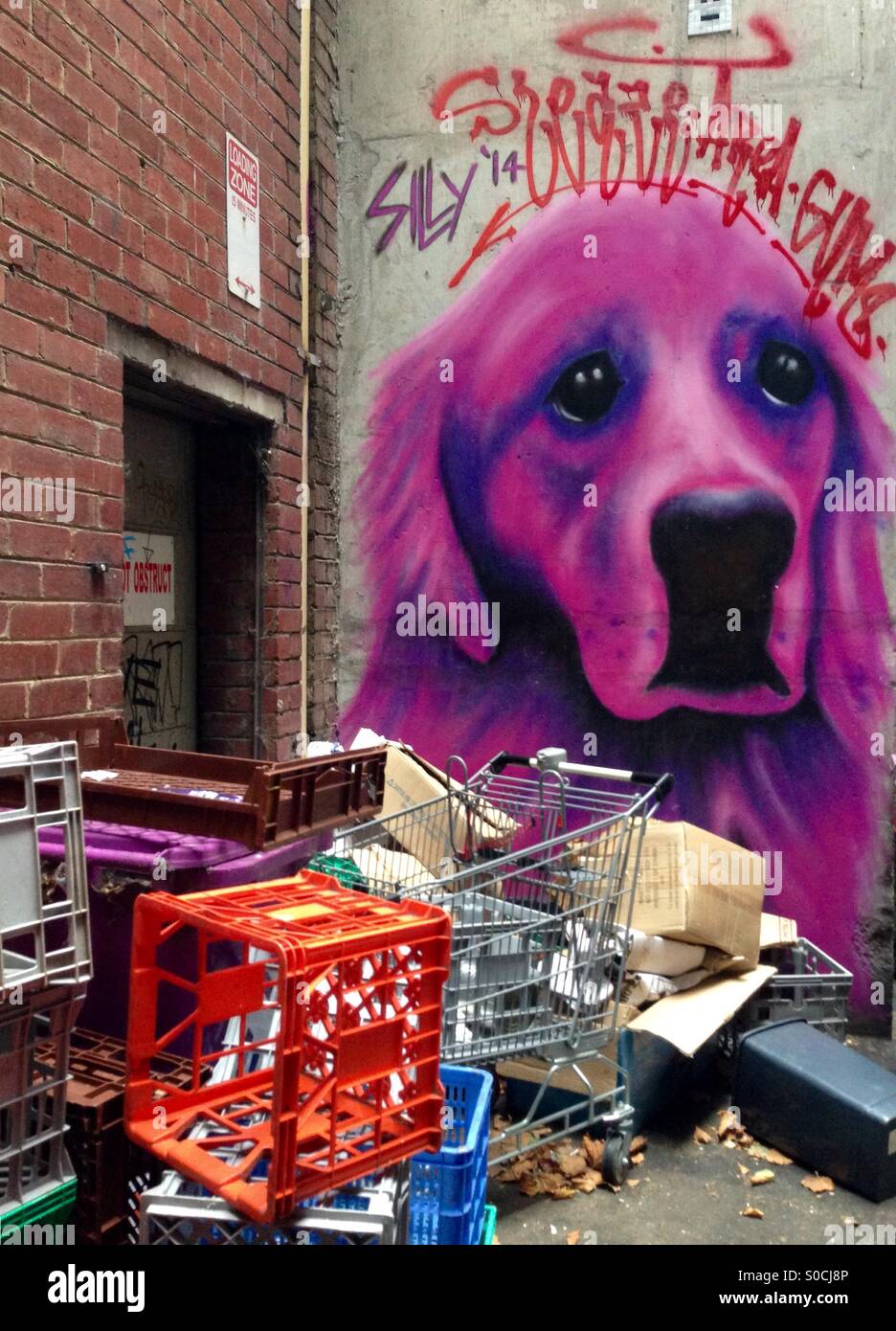 La street art di golden retriever cane con rifiuti inclusi carrello casse di latte in city lane Foto Stock