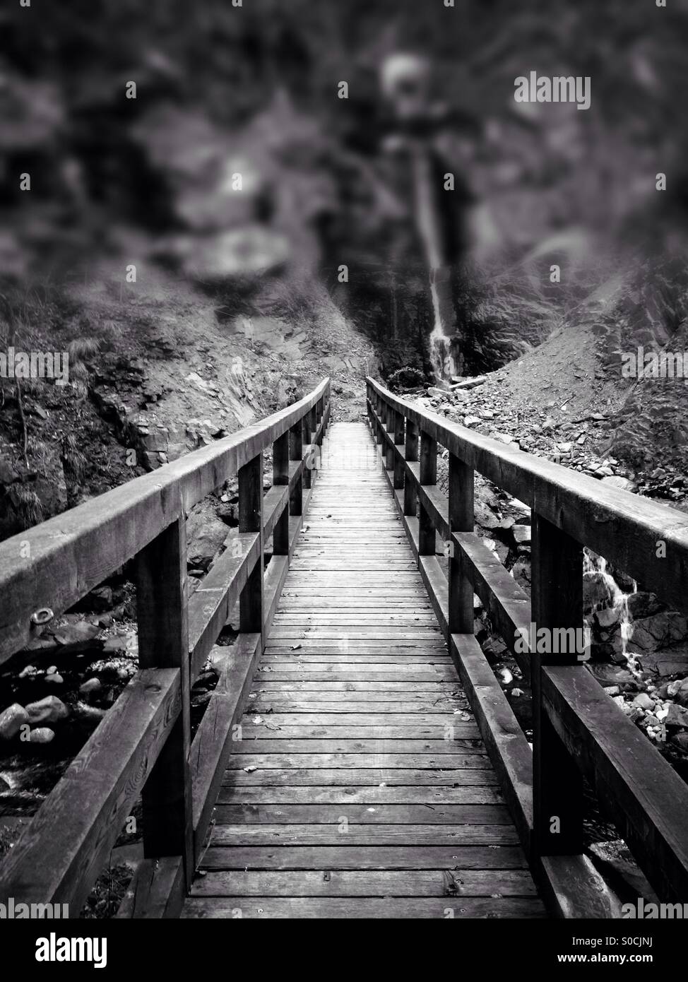 Ponte di legno in bianco e nero Foto Stock