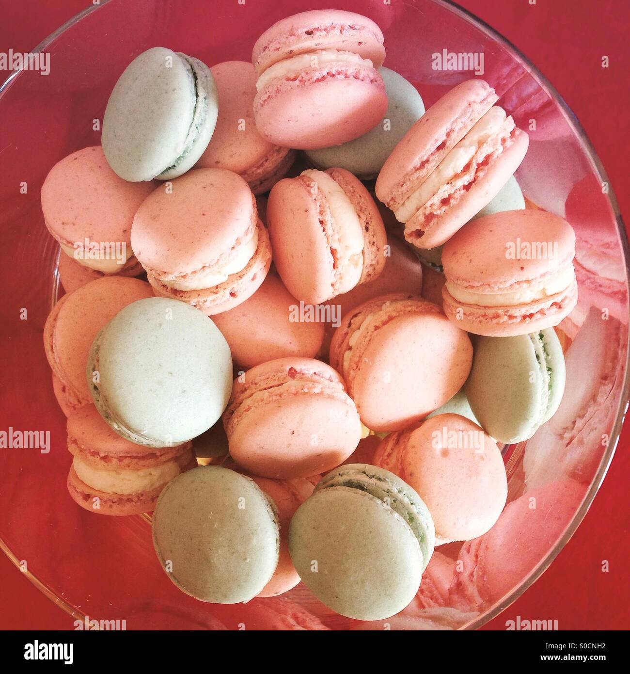 Colori pastello macarons nel recipiente Foto Stock