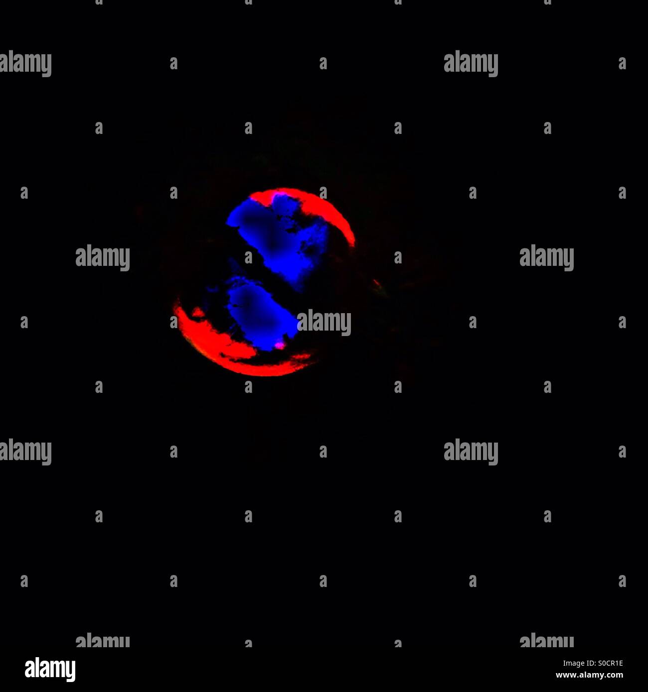Bolla su sfondo nero - Immagine stock catturata con smartphone