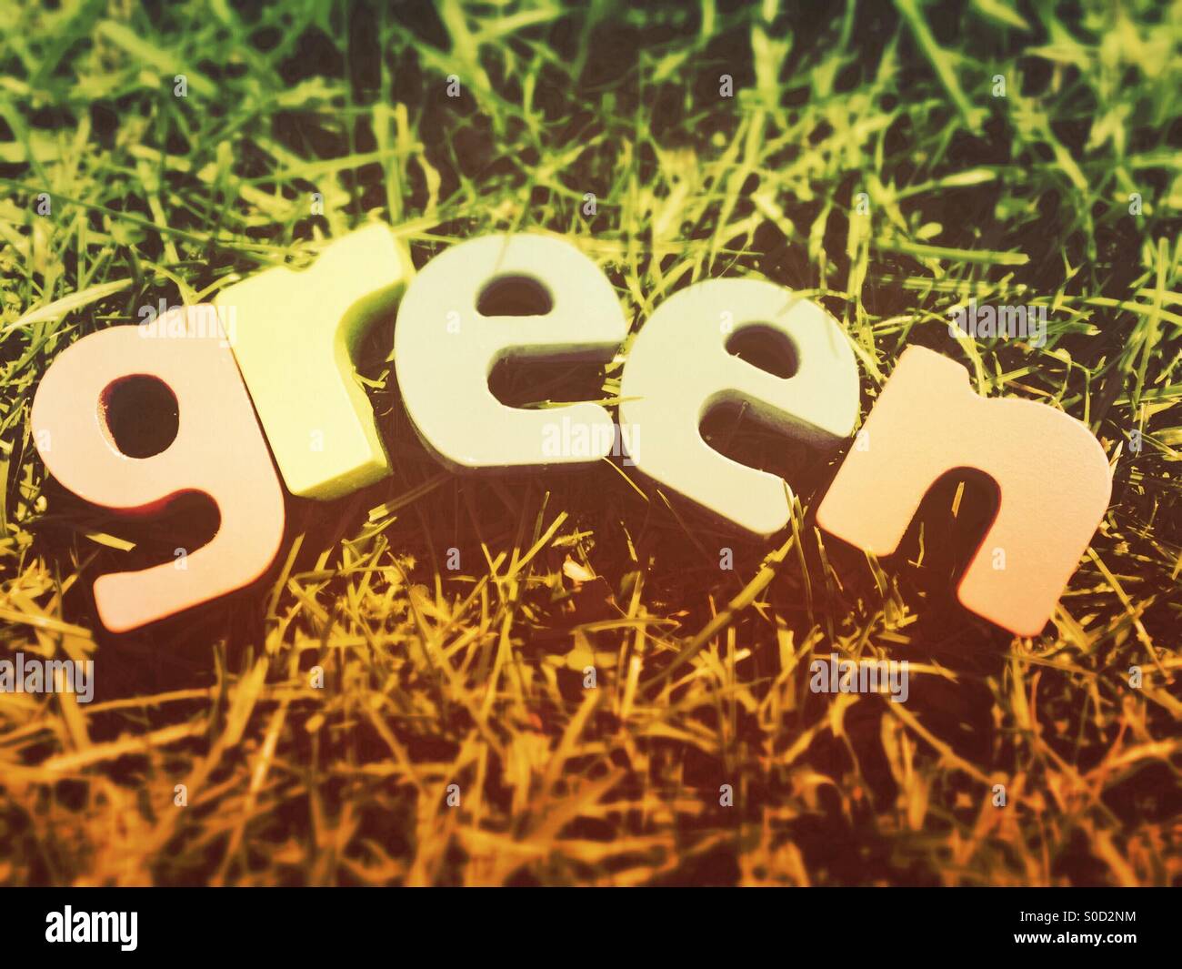 La parola 'Verde' con effetto vintage Foto Stock