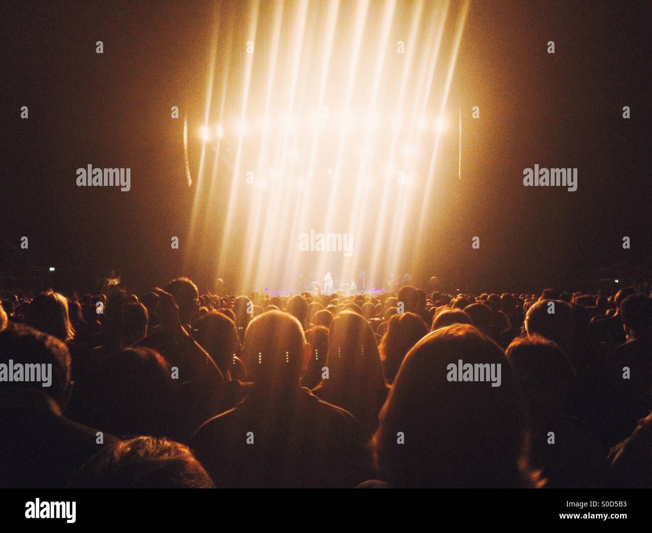 Grande folla al concerto rock - Immagine stock catturata con smartphone