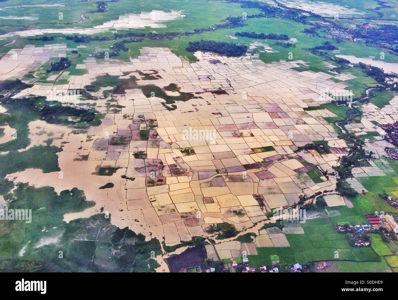 Una veduta aerea di campi di riso nell isola di Sulawesi, Indonesia Foto Stock