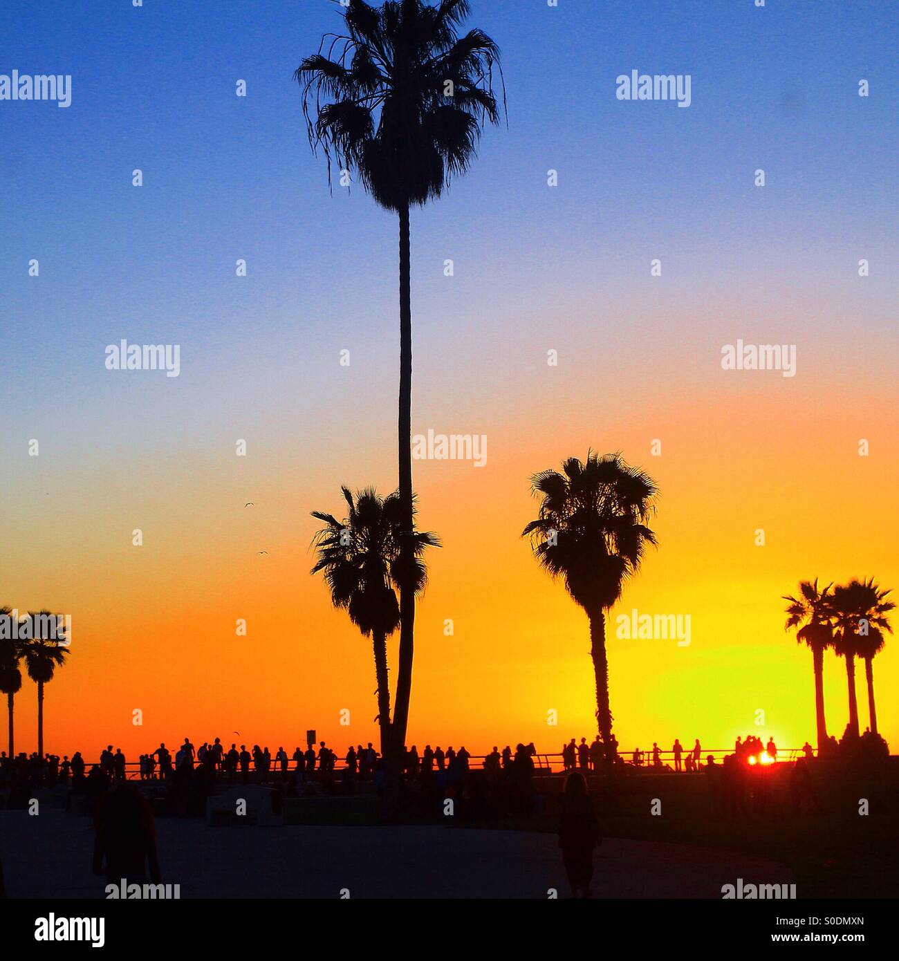La spiaggia di Venezia il tramonto dalla skate park Foto Stock