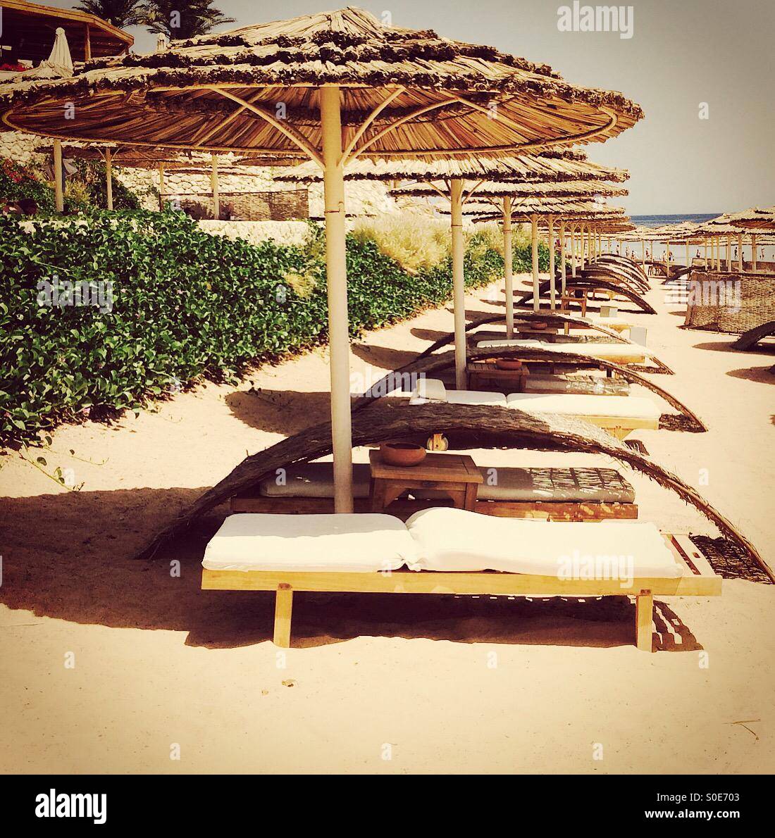 Lettini a un beach resort in Egitto - Immagine stock catturata con smartphone