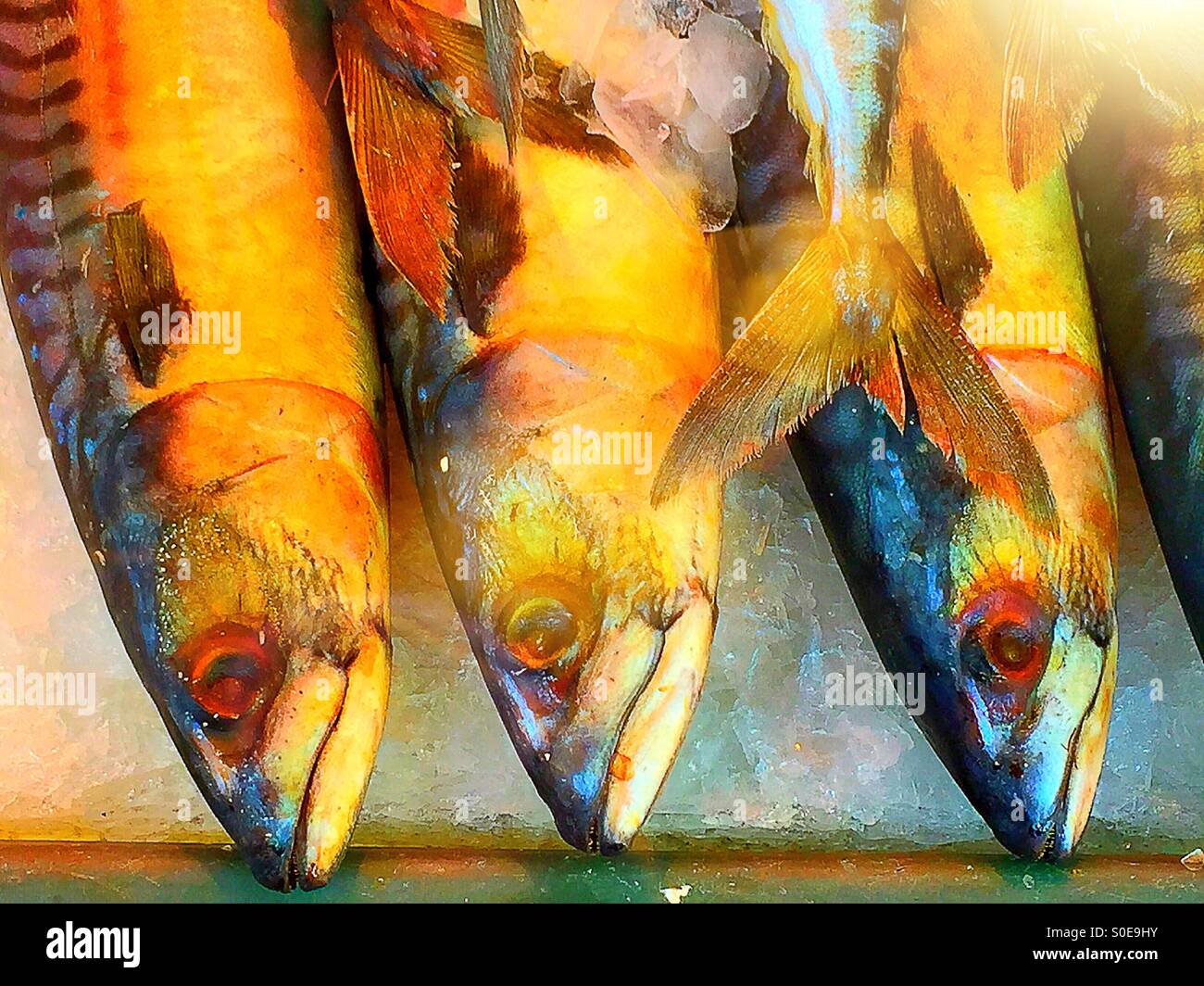 Pesce per la vendita in Chinatown mercato del pesce - Immagine stock catturata con smartphone