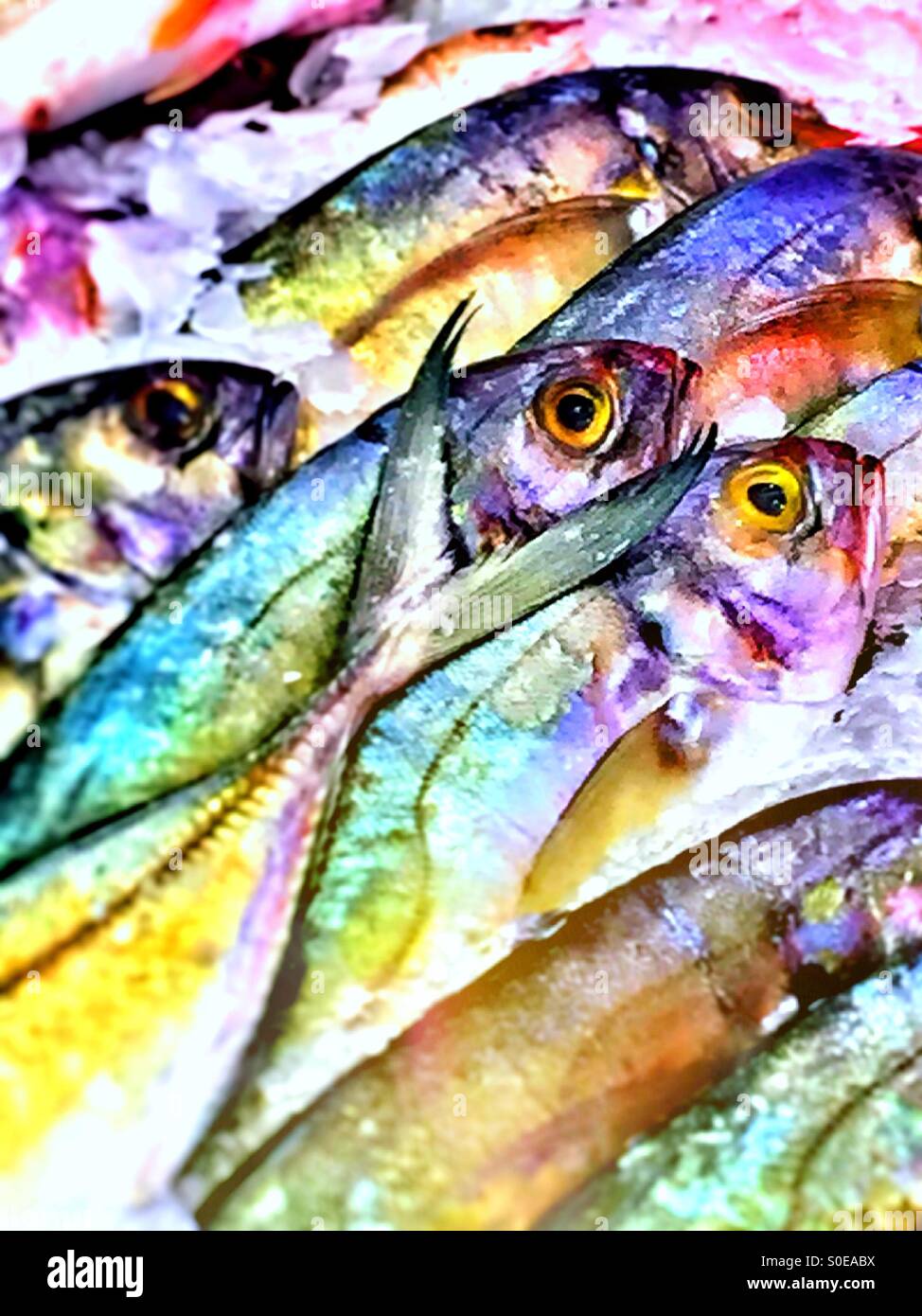 Pesce per la vendita in Chinatown mercato del pesce - Immagine stock catturata con smartphone