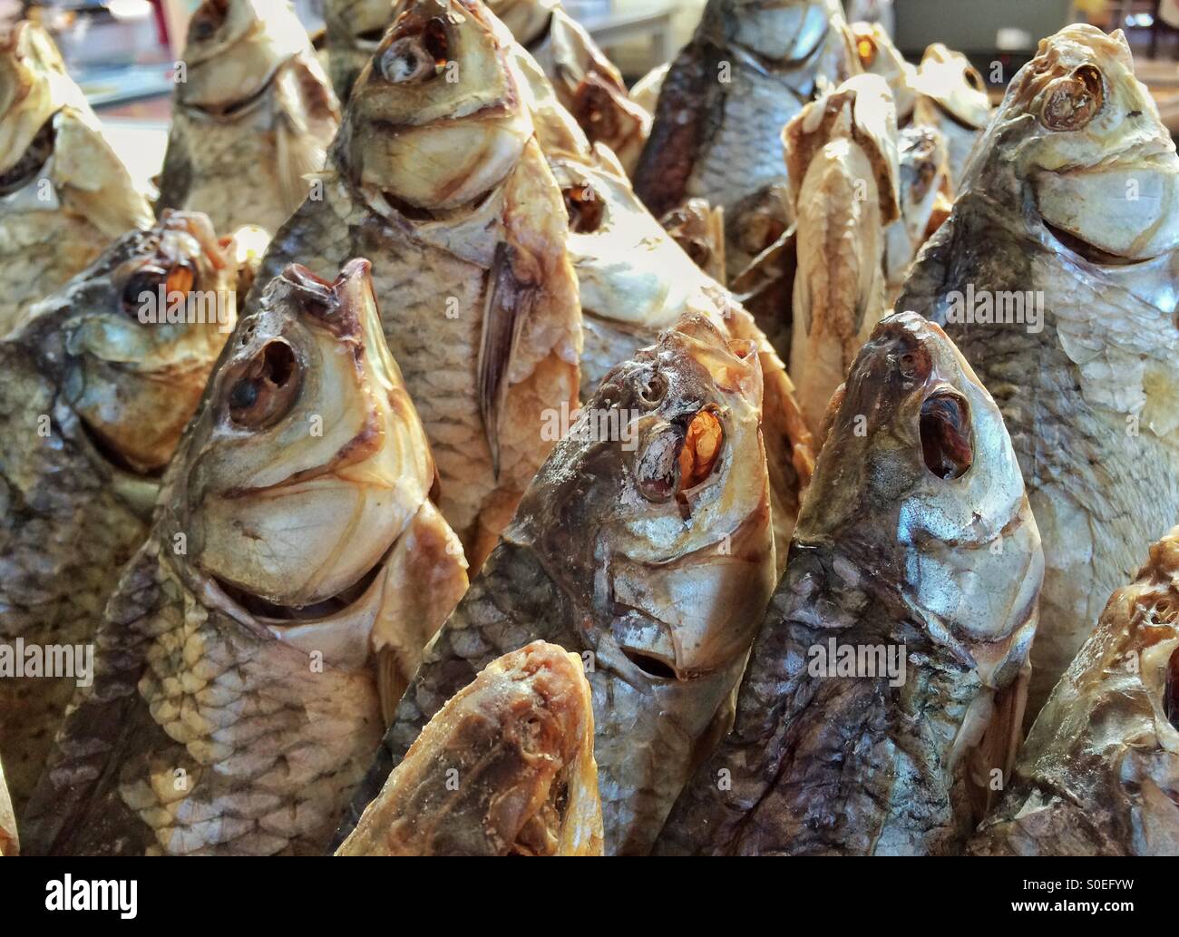 Pesce secco vobla russa nel mercato Foto Stock