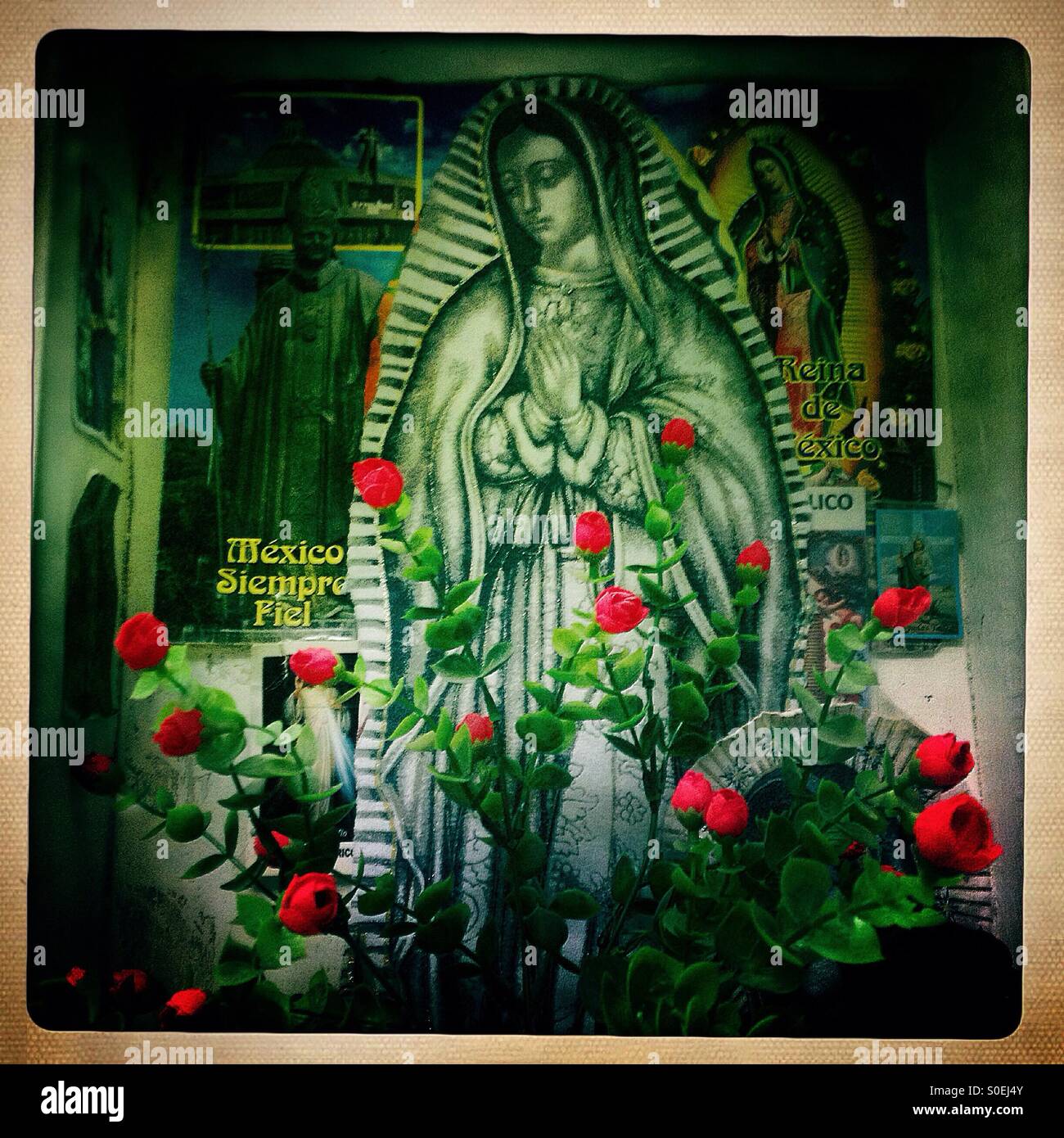 Plastica fiori rosso decorare un altare a Nostra Signora di Guadalupe a Colonia Roma, Città del Messico, Messico - Immagine stock catturata con smartphone