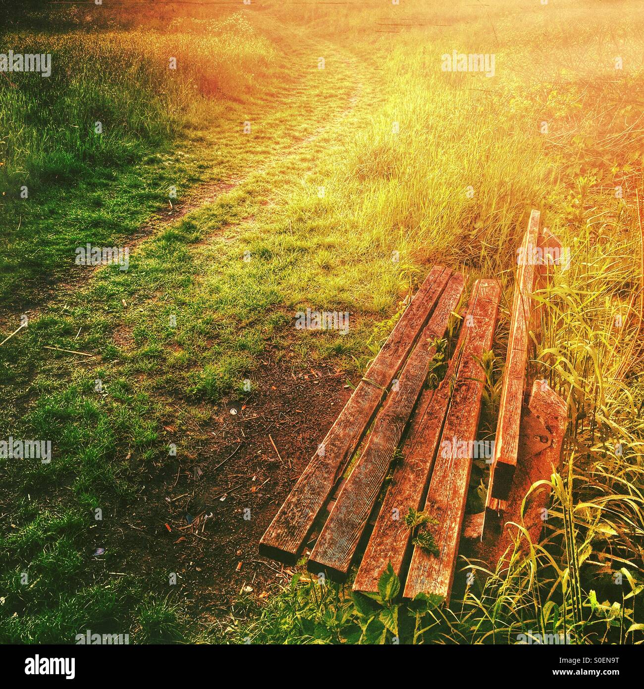 Vecchia panca in legno Foto Stock