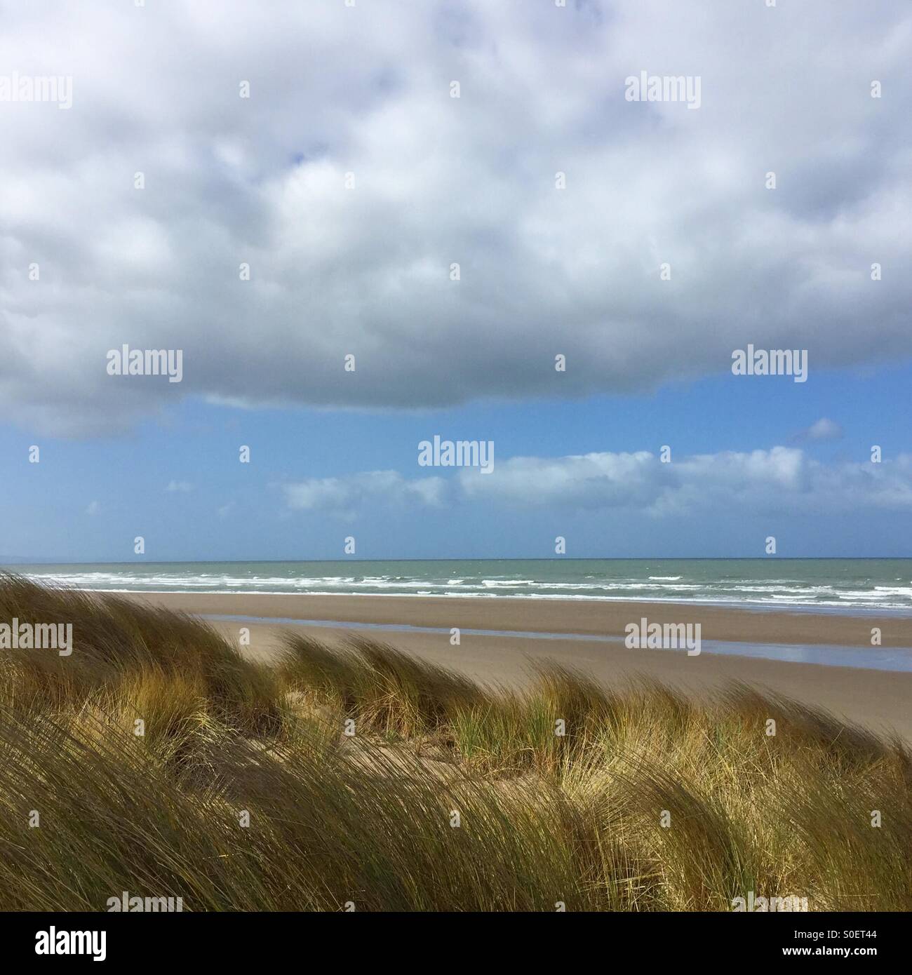 Vuoto spiaggia spazzate dal vento e le dune di sabbia in una giornata di sole Foto Stock