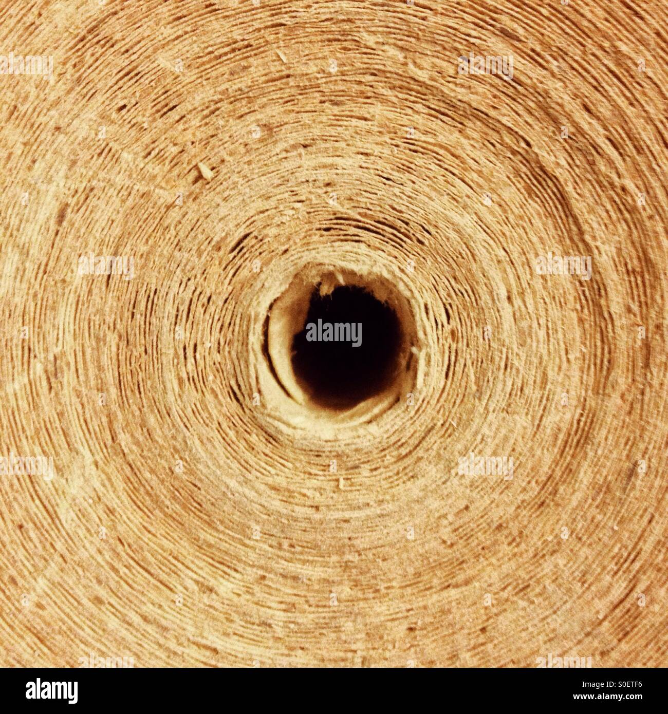 Rotolo di carta Foto Stock