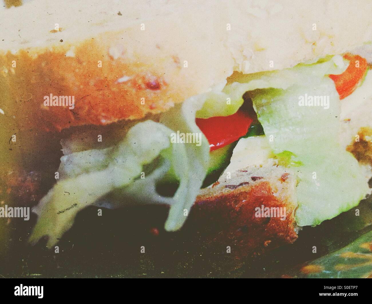 Close up di un formaggio e sandwich di lattuga Foto Stock