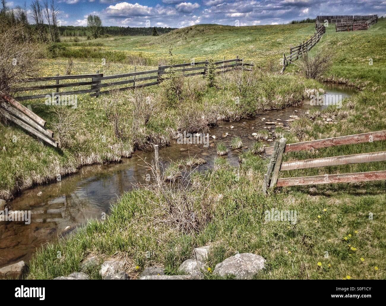 Paesaggio di campagna in scena con la corrente di avvolgimento e zig-zagging recinto. Alberta, Canada. Foto Stock