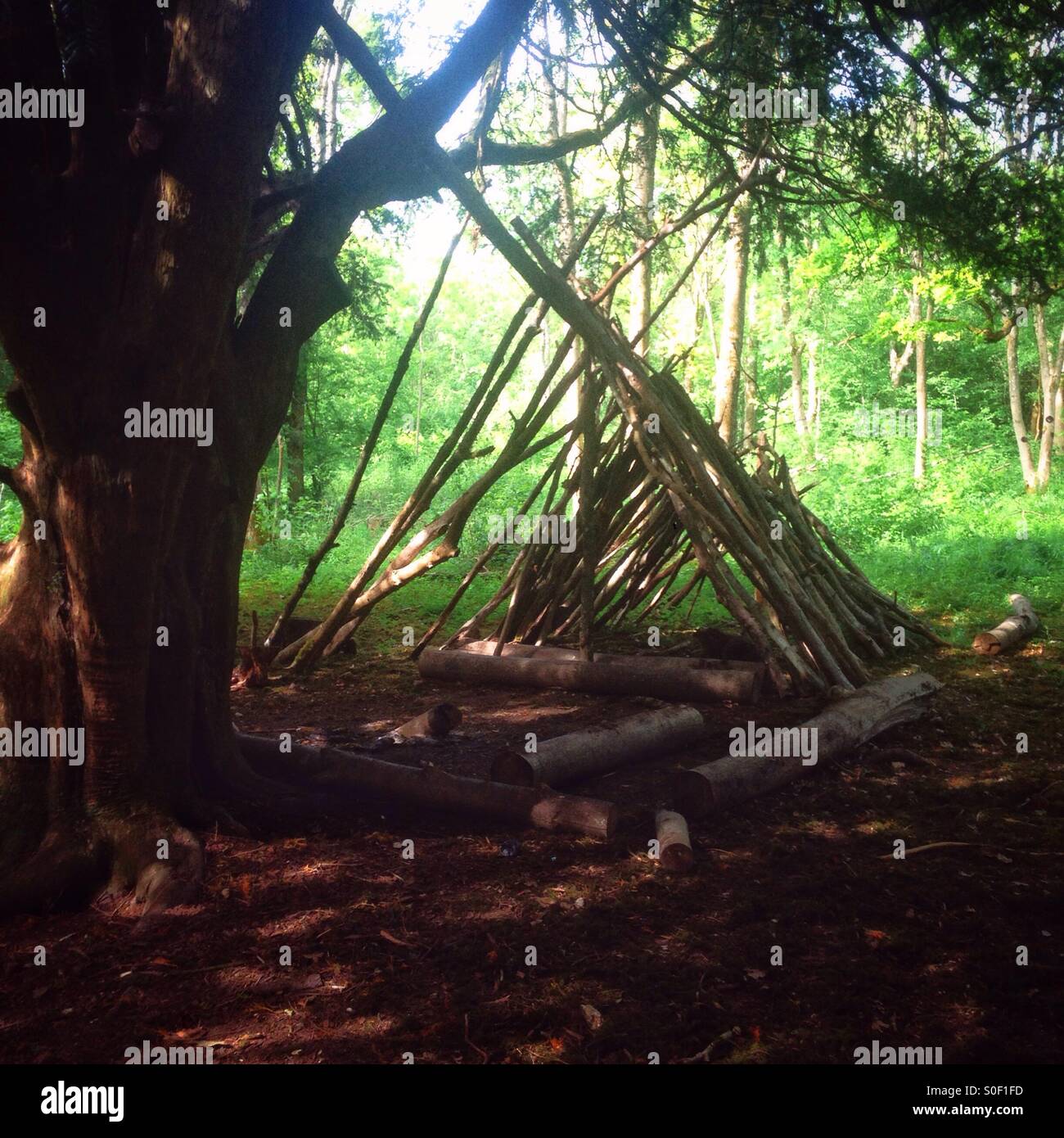 Woodland camp shelter, Hampshire, Inghilterra, Regno Unito. - Immagine stock catturata con smartphone