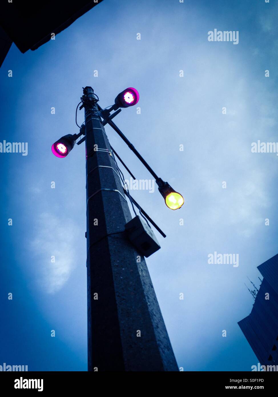 Luci di strada in una città moderna, Ontario, Canada. Una disposizione verticale astratta. - Immagine stock catturata con smartphone