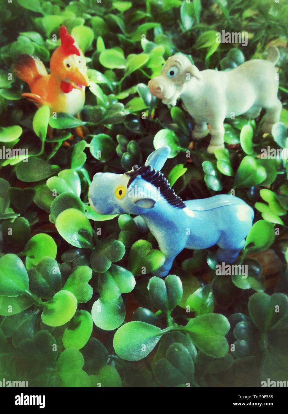 Animali - Immagine stock catturata con smartphone