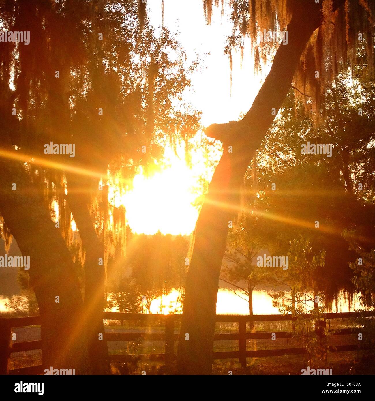 Tramonto a Keystone Heights, Florida Foto Stock