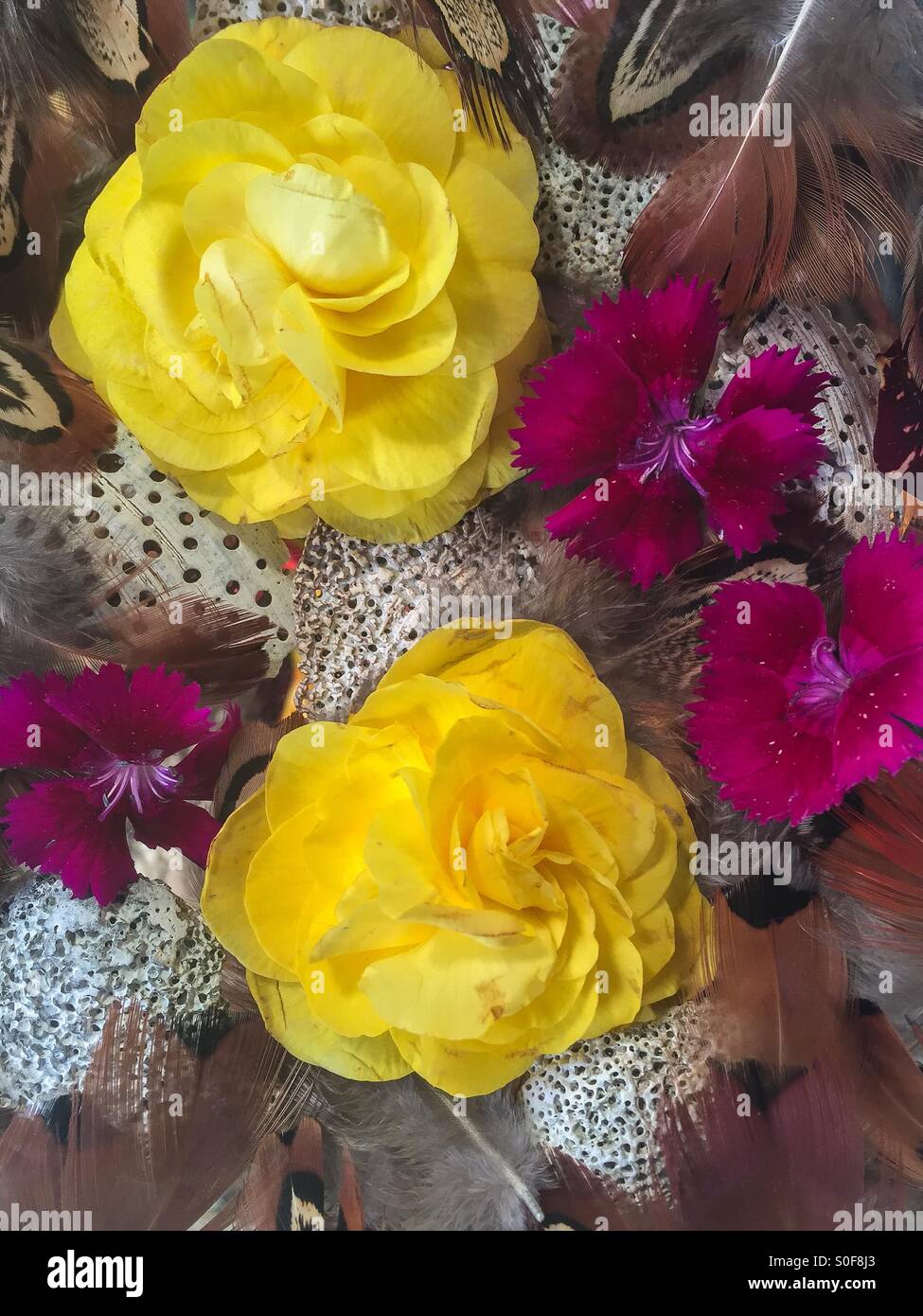 Fiori e conchiglie in una disposizione. - Immagine stock catturata con smartphone