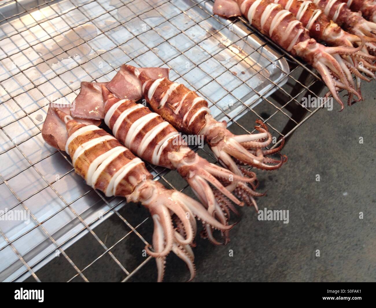 Calamari alla griglia Foto Stock