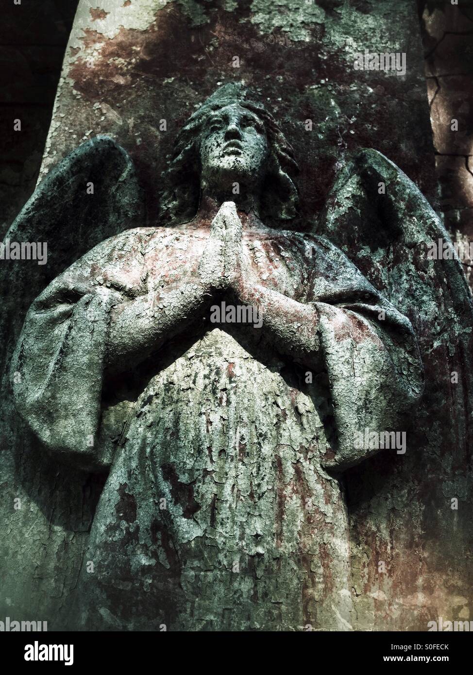 Angelo - Immagine stock catturata con smartphone