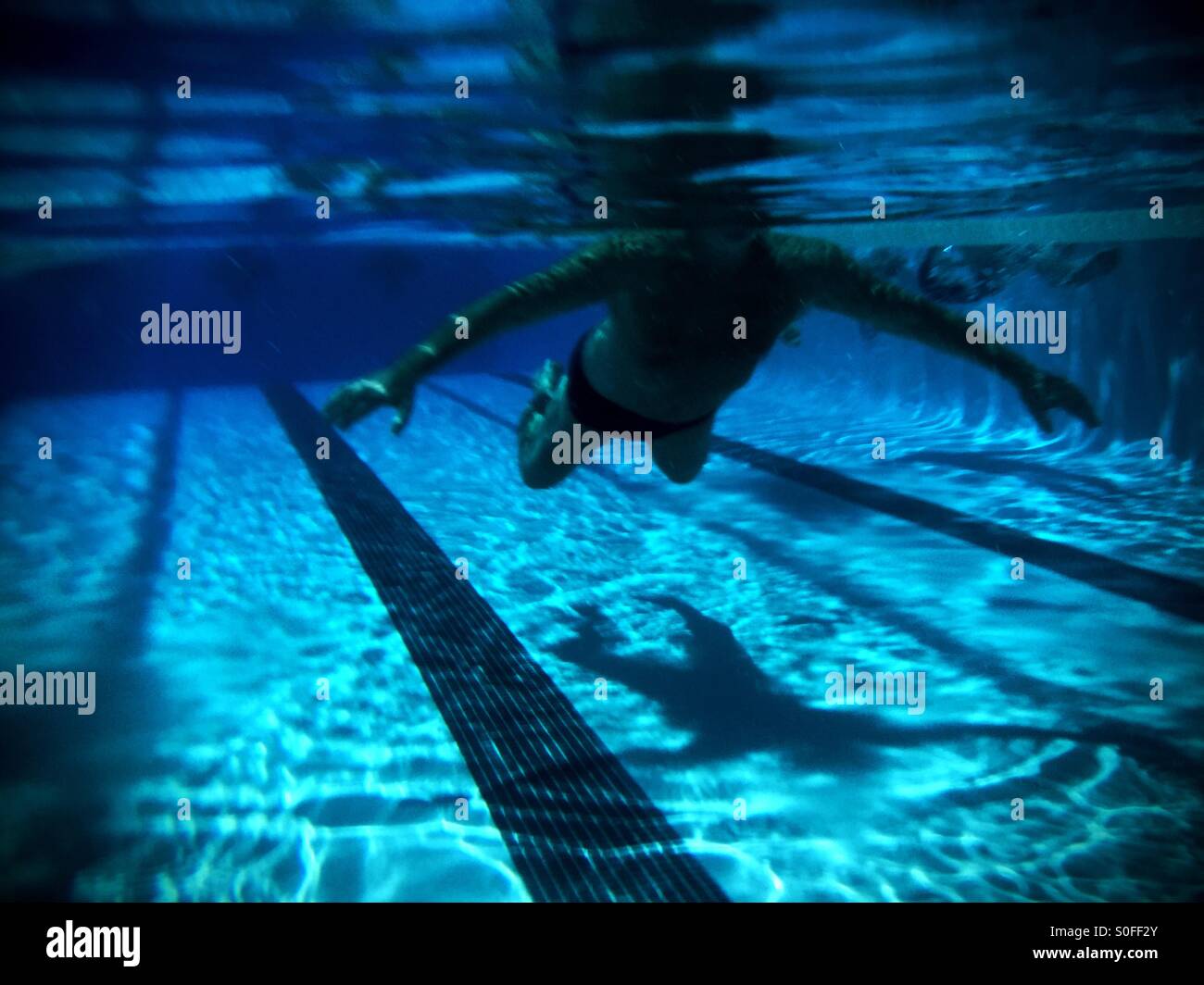 Nuotatore silhouette e ombra sotto sulla piscina piano, riflessioni, ondulazioni, il marcatore di corsia di piastrelle. 25 meter outdoor piscina olimpionica. Foto Stock