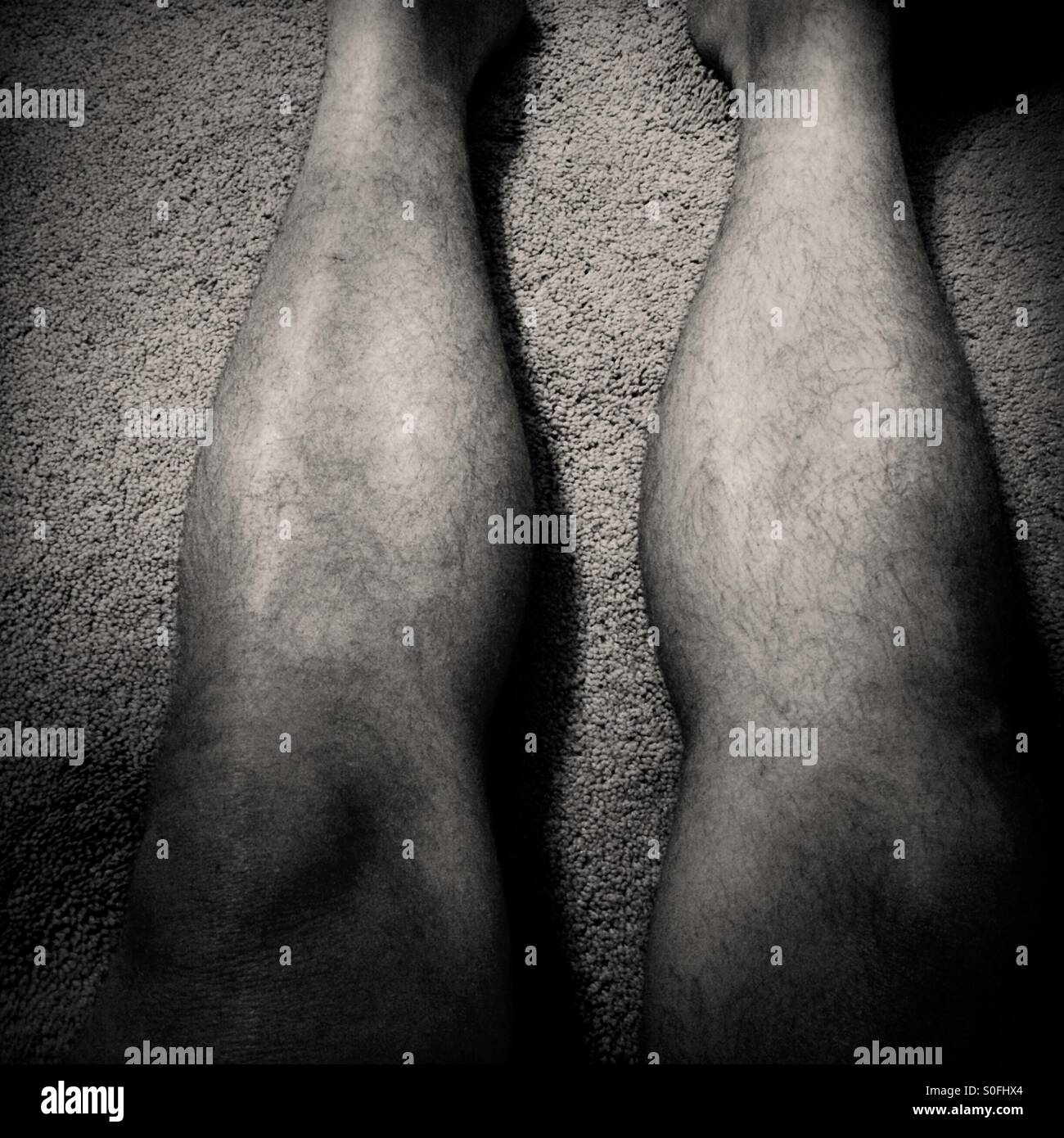 Un uomo di gambe pelose sul tappeto shag. Foto Stock