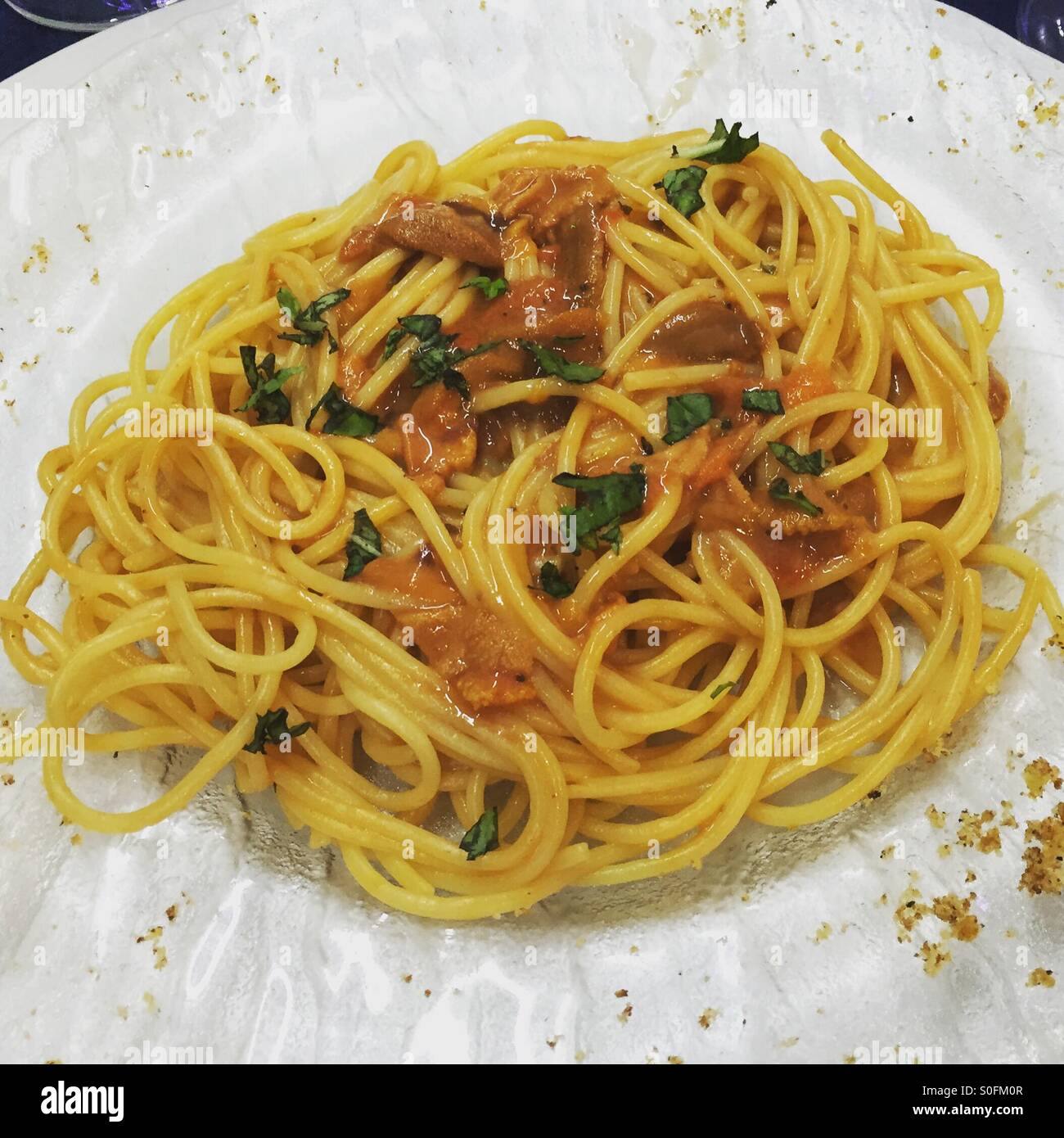 Siciliano di ricci di mare spaghetti Foto Stock