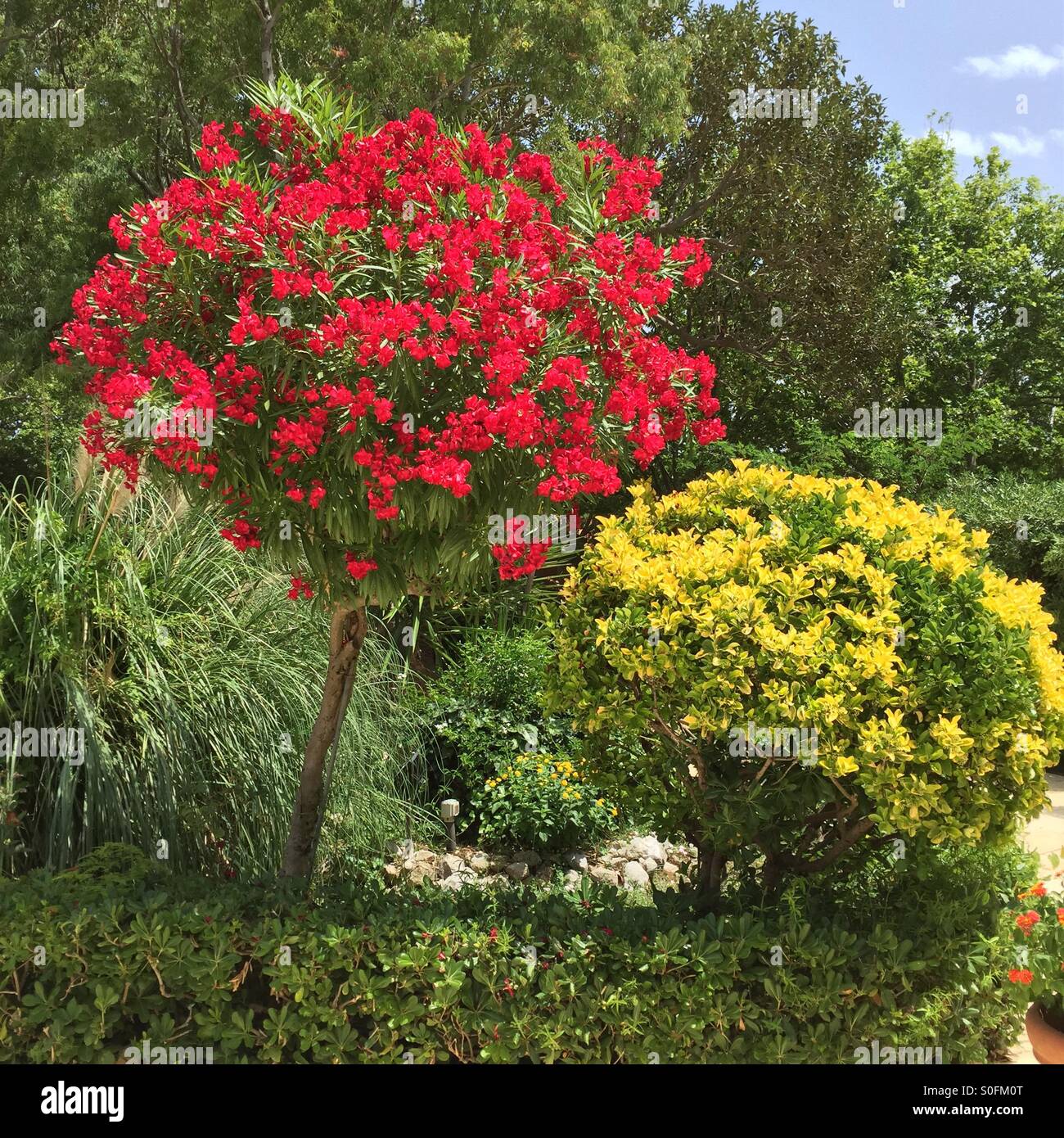 Giardino siciliano Foto Stock