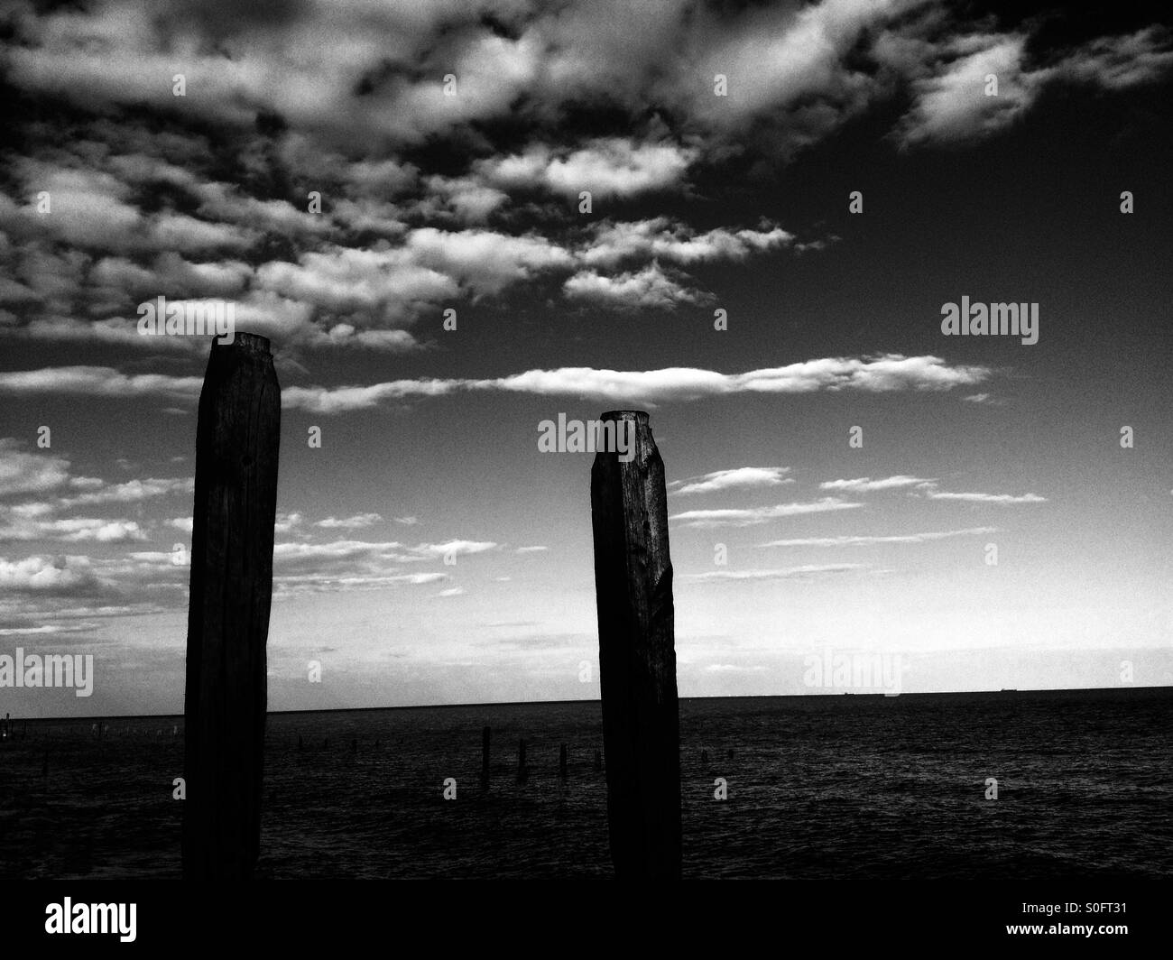 Pennelli in legno o frangiflutti, traghetto Bawdsey, Suffolk, Regno Unito. Foto Stock
