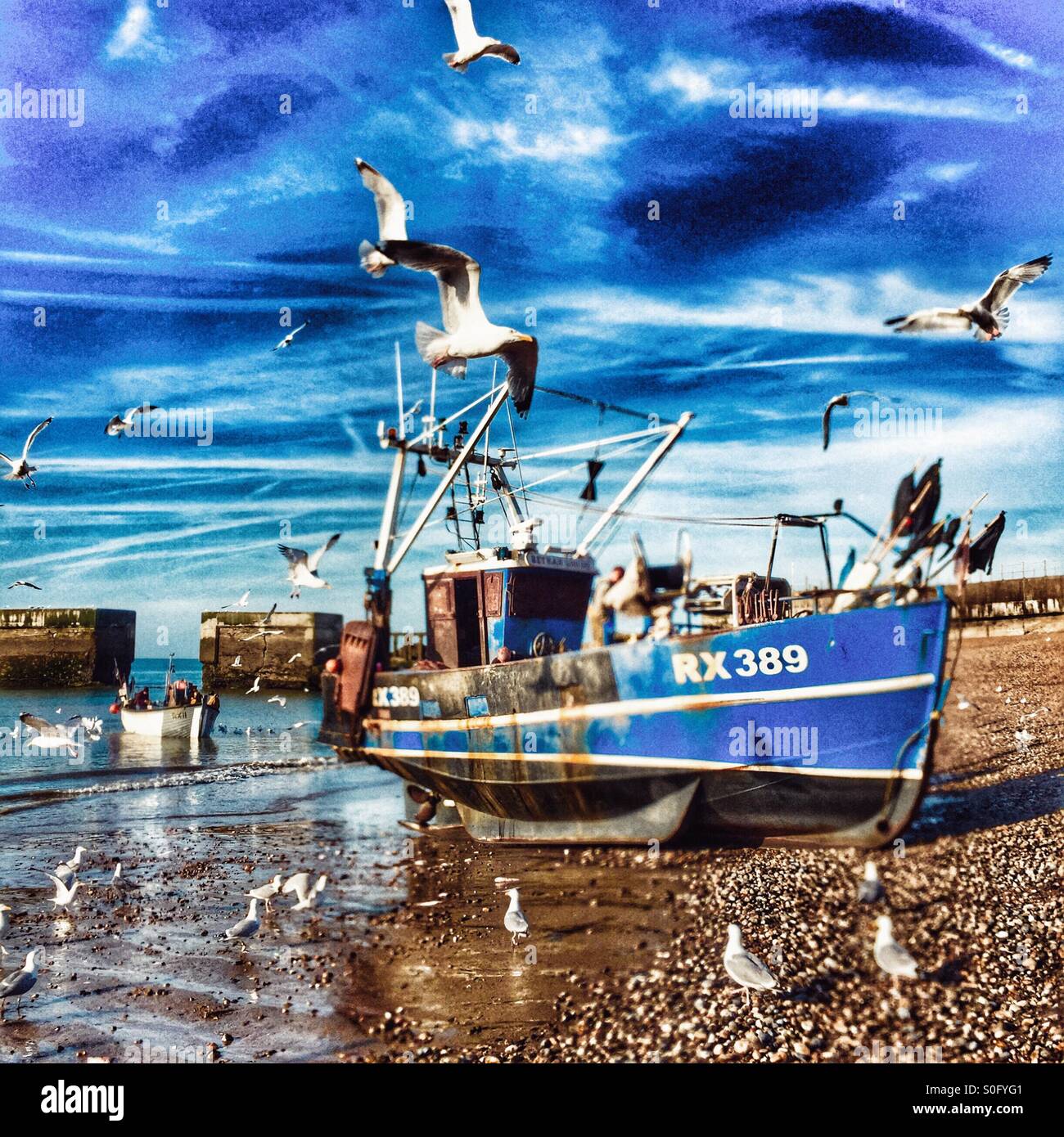 Gabbiani wheeling su Hastings peschereccio, atterraggio al mattino presto delle catture di pesce, East Sussex, Regno Unito - Immagine stock catturata con smartphone