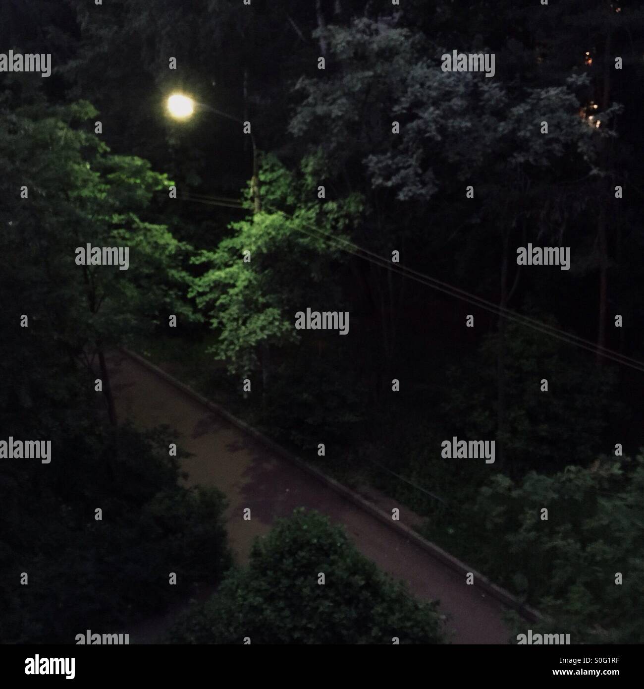 Via la luce tra gli alberi - Immagine stock catturata con smartphone