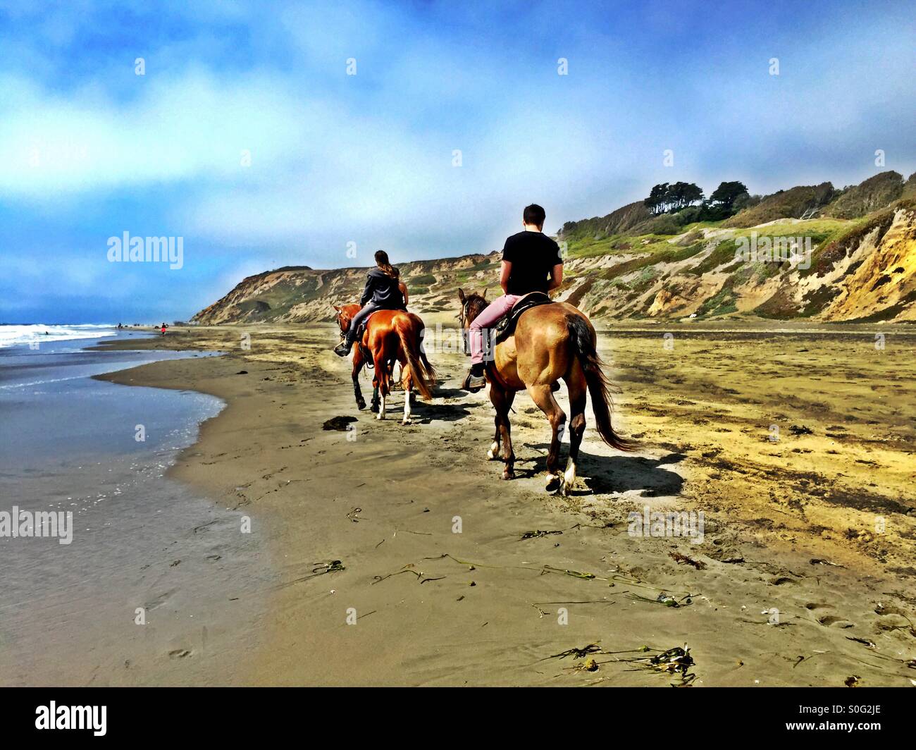 Piloti su cavalli in direzione nord su una apparentemente infinita lunghezza di ampia spiaggia della California in estate. Fort Funston, California, Stati Uniti d'America. HDR. - Immagine stock catturata con smartphone