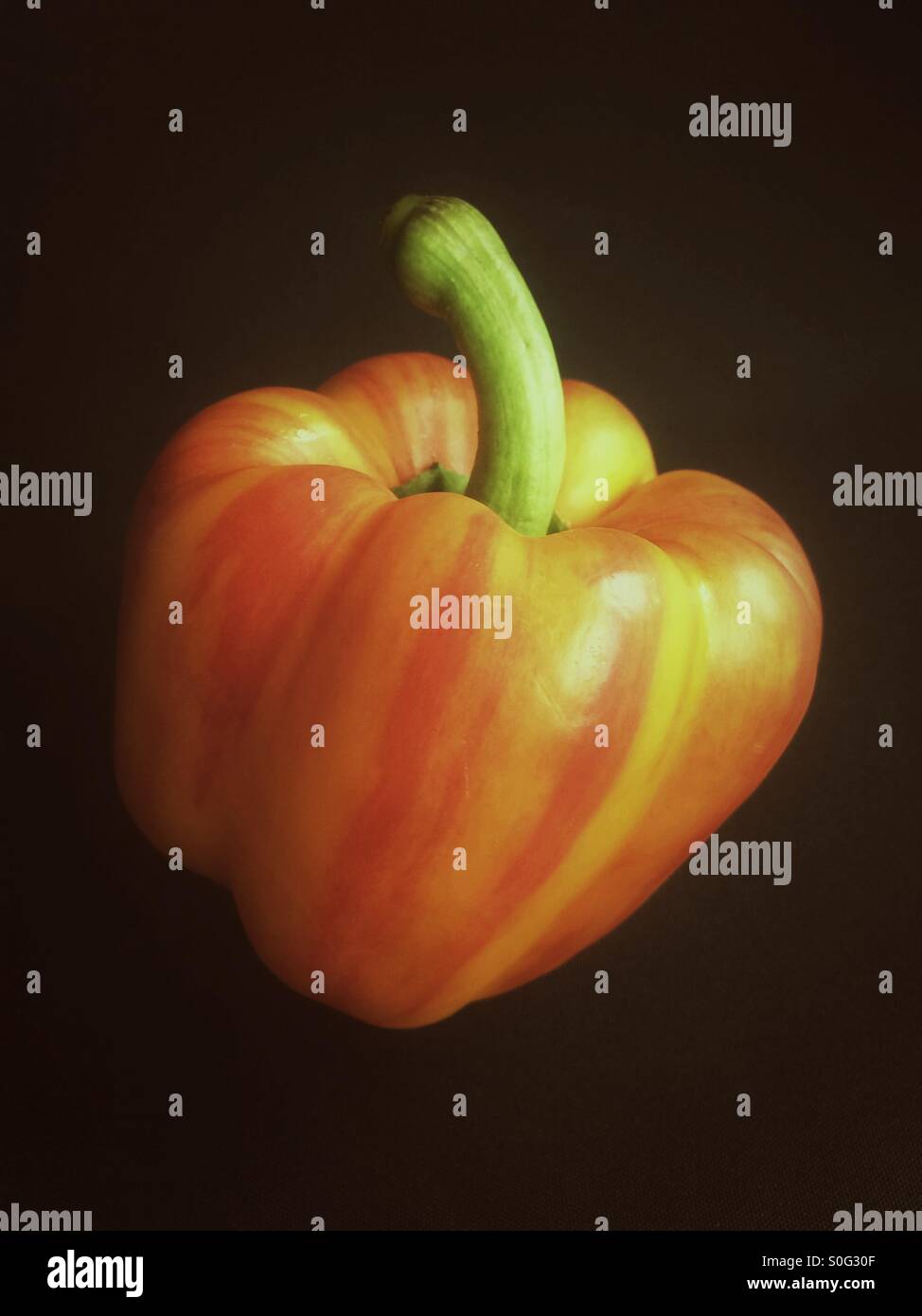 Rosso e giallo listati pepe Foto Stock