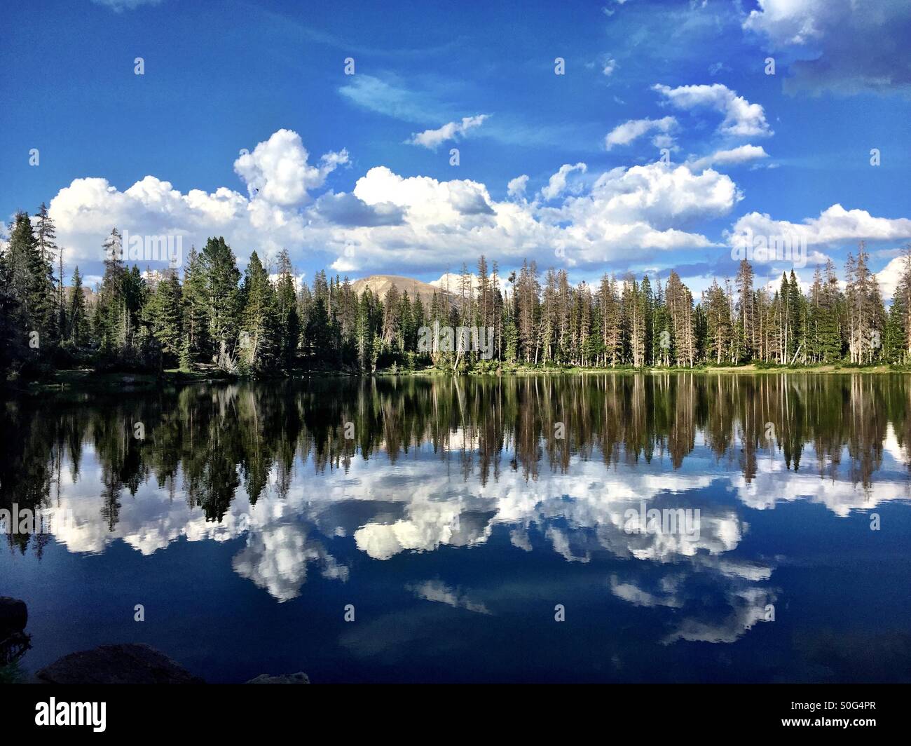 Le nuvole riflettono in acque blu del lago Fehr in Uinta National Forest. Foto Stock