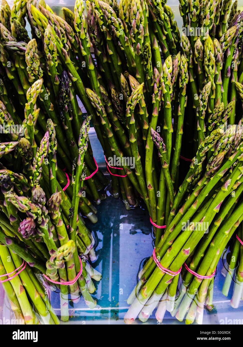 Asparagi freschi Foto Stock