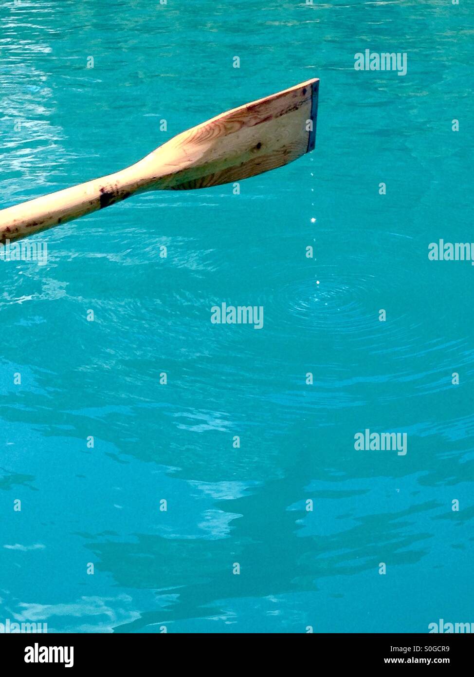 Spatola di legno nel Lago di Braies, Trentino-Alto Adige, Italia Foto Stock