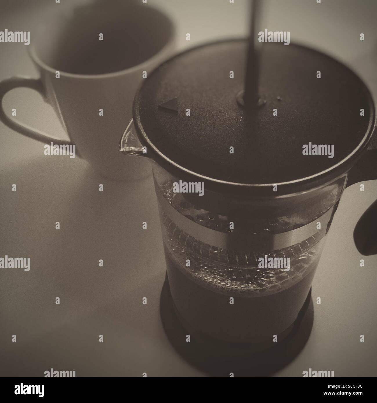 French press caffè Foto Stock