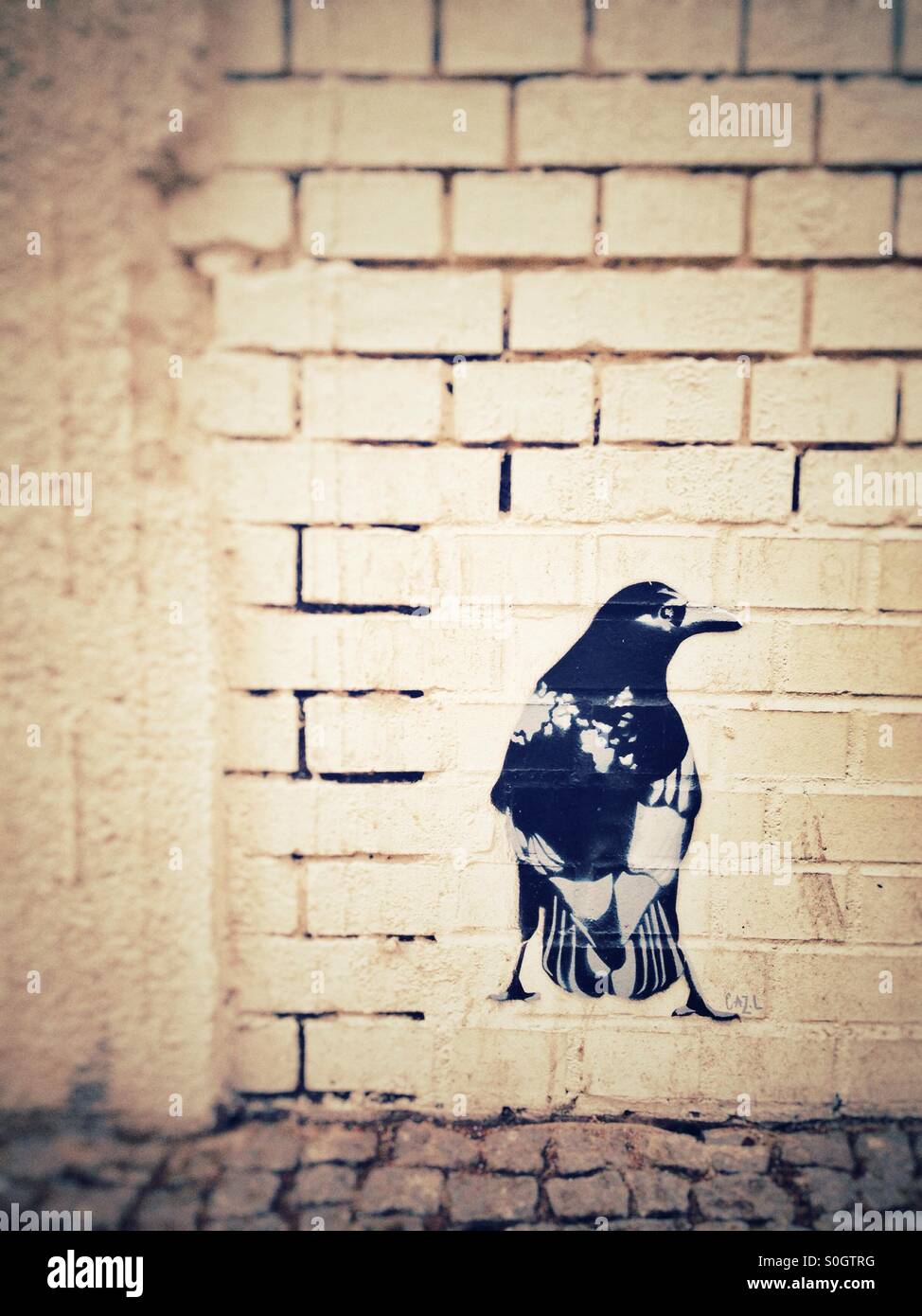 Crow - Immagine stock catturata con smartphone
