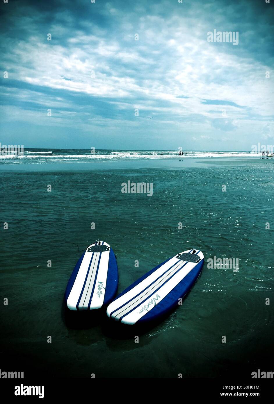 Bianco e blu a strisce di tavole da surf a sedersi in un pool di marea su una spiaggia. Foto Stock