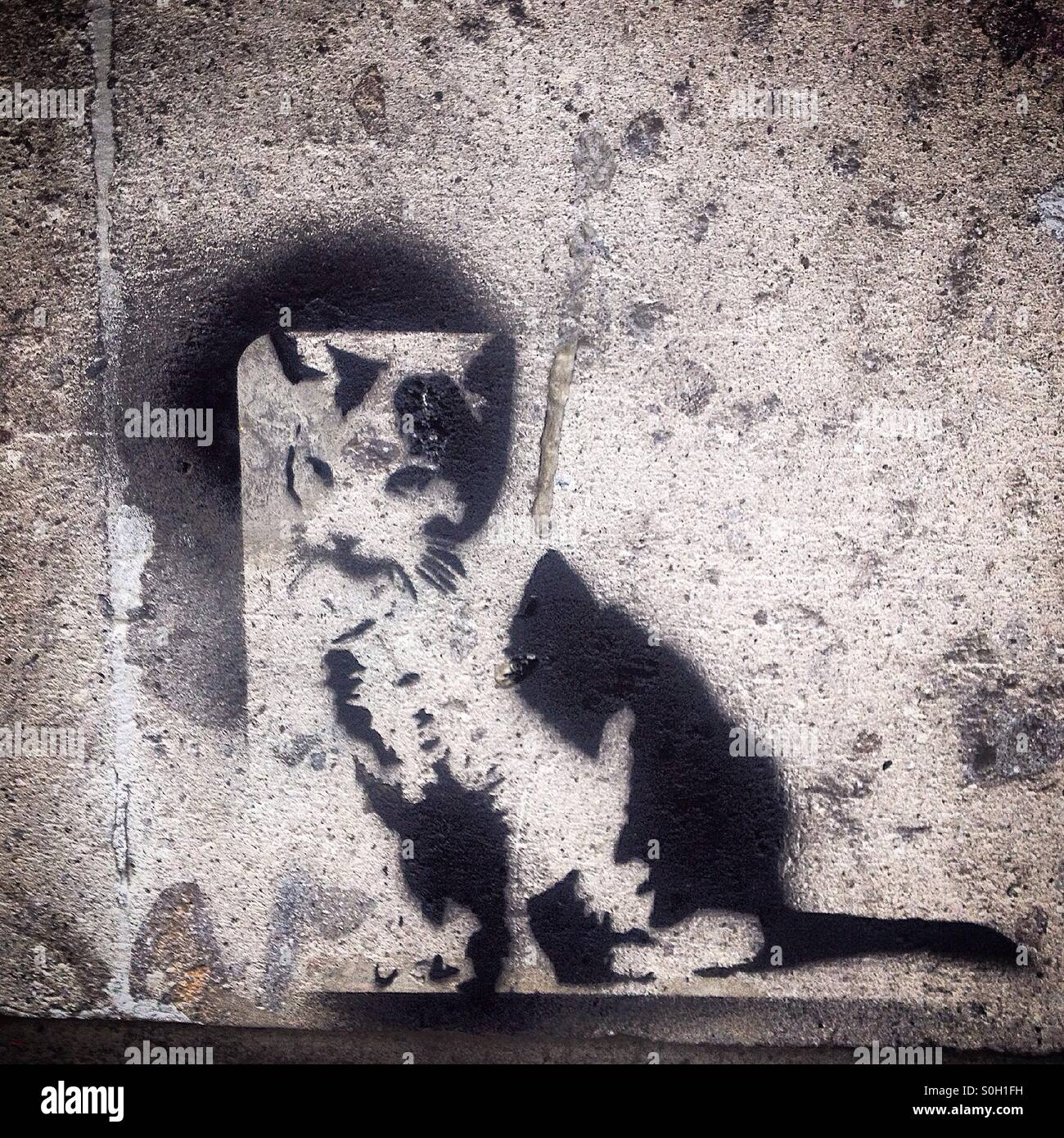 Un graffiti di un gatto su una parete in Città del Messico - Immagine stock catturata con smartphone